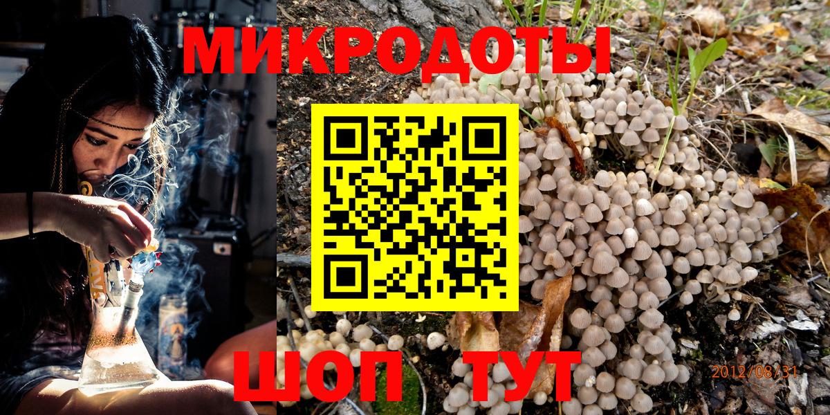 Псилоцибиновые грибы прущие грибы Кировск