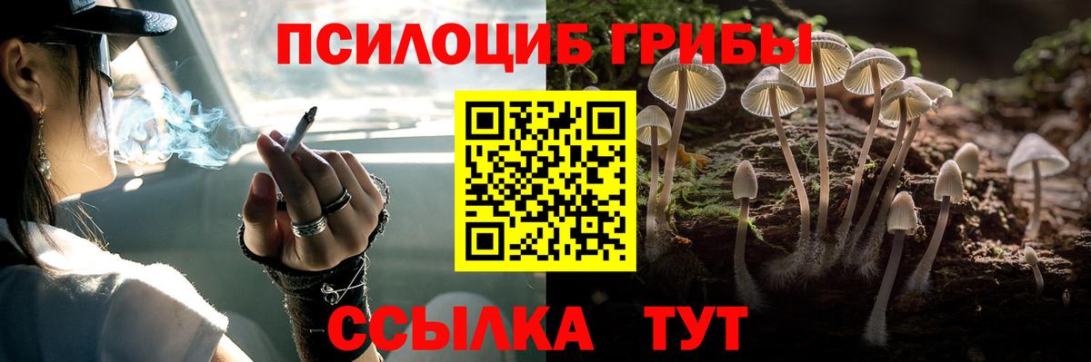 Кировск  Псилоцибиновые грибы Cubensis  Галлюциногенные грибы Psilocybine cubensis  цена наркотик  Вход с VPN 