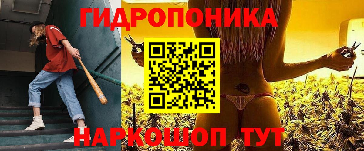 Бошки марихуана THC 21%  Бошки марихуана THC 21%  Конопля марихуана  Вход с VPN  Кировск 